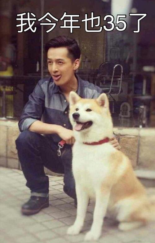 娱乐吃瓜君胡歌